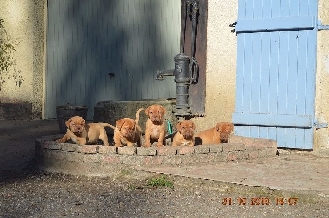 Les bébés profitent du beau temps !!