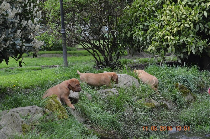 Sortie dans le jardin